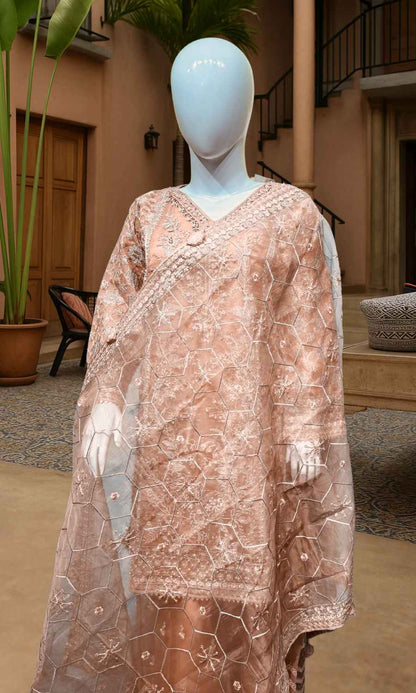 Peach Fancy Wear - 3P